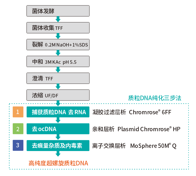 質粒純化三步法流程圖.png