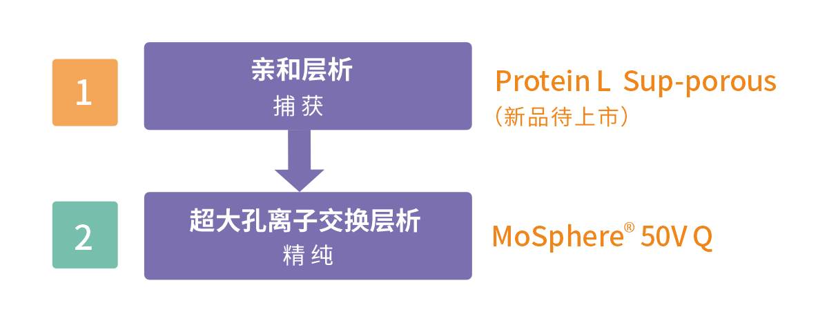 親和法.png