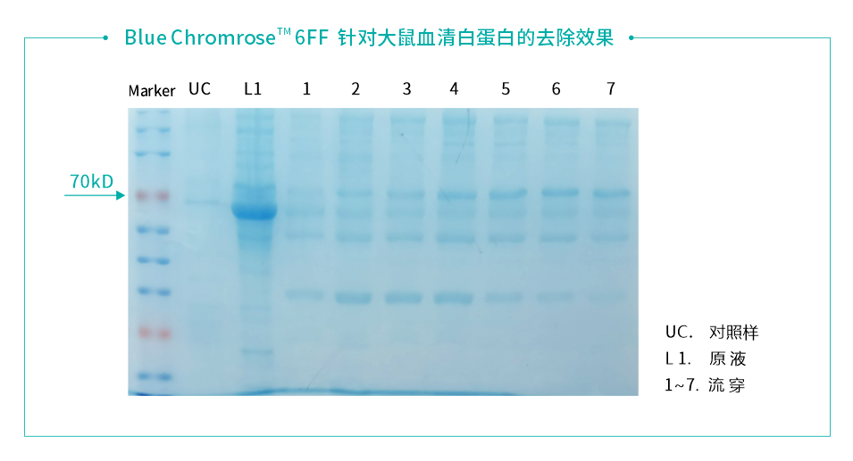數據111.png